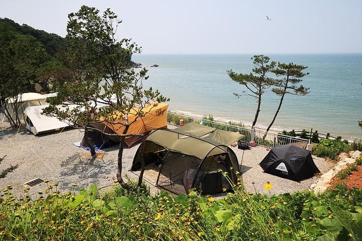 영흥도어울림캠핑장 사진