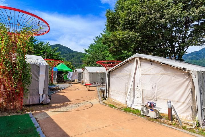 젠틀펫 파라다이스 사진