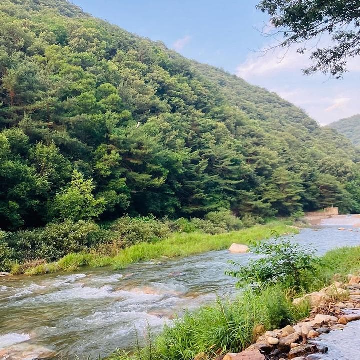 노문 야영장 사진
