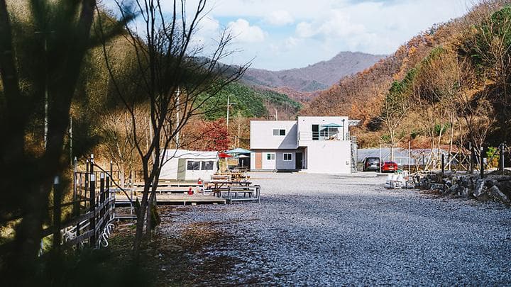 몽리치 사진