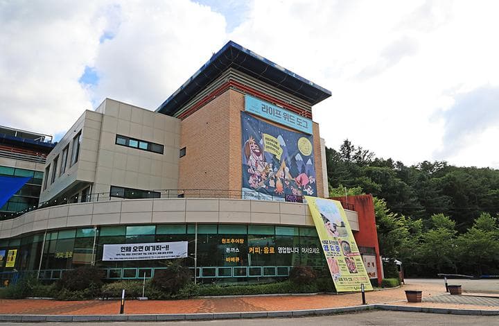 라이프위드도그 사진