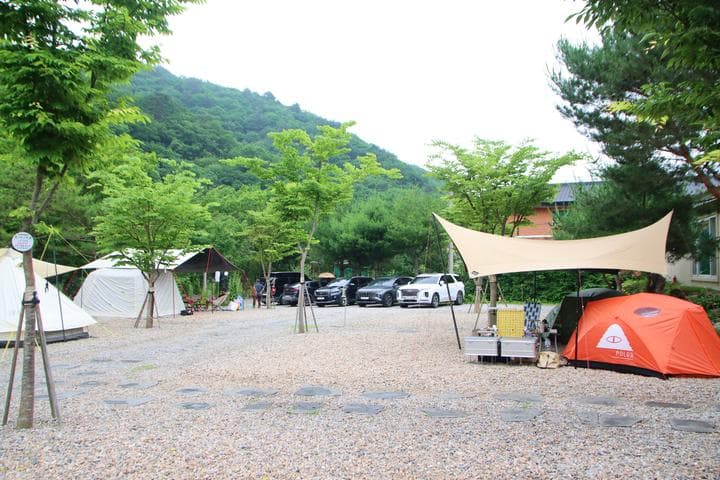 캠프 고토일 사진