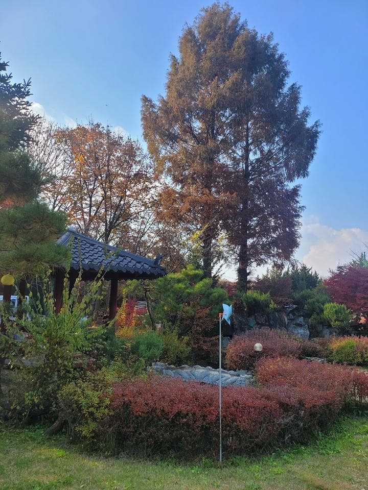 금산만악리수목원 오토캠핑장 사진