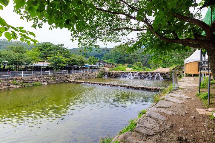 팔공 쉼터 야영장 사진