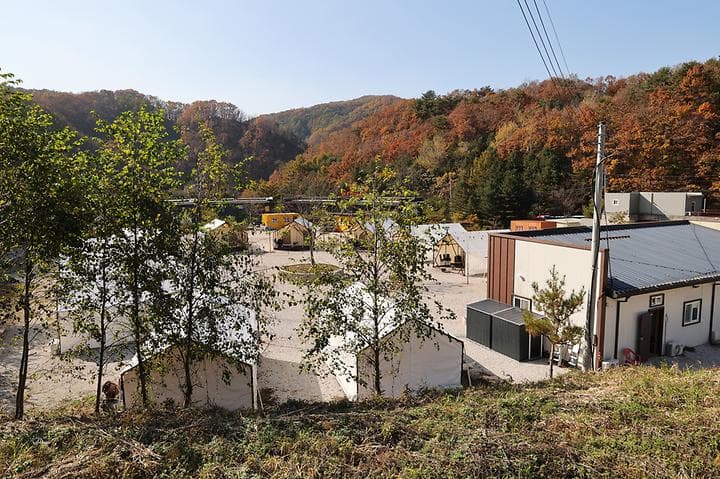 호랑이캠핑 사진
