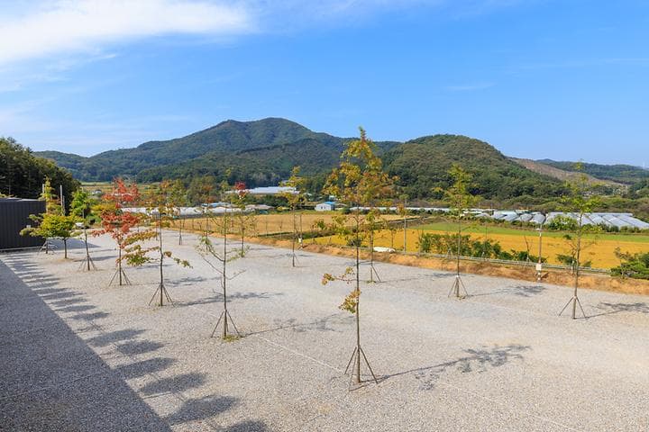 진천포레스트캠핑장 사진