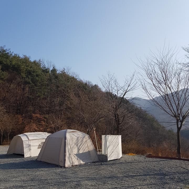 숲에안기다 사진