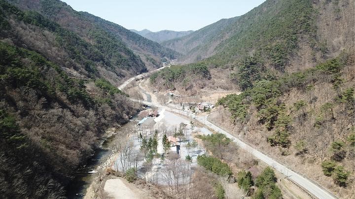 포레스트힐링캠프 사진