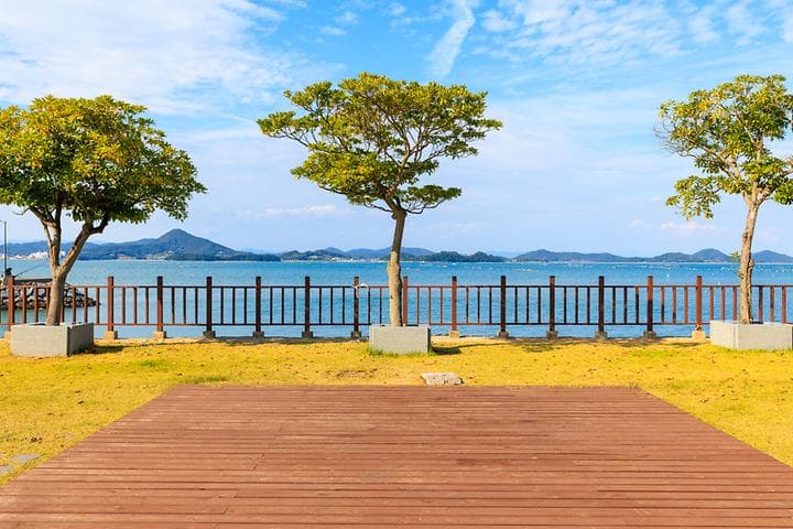 해그라미 사진