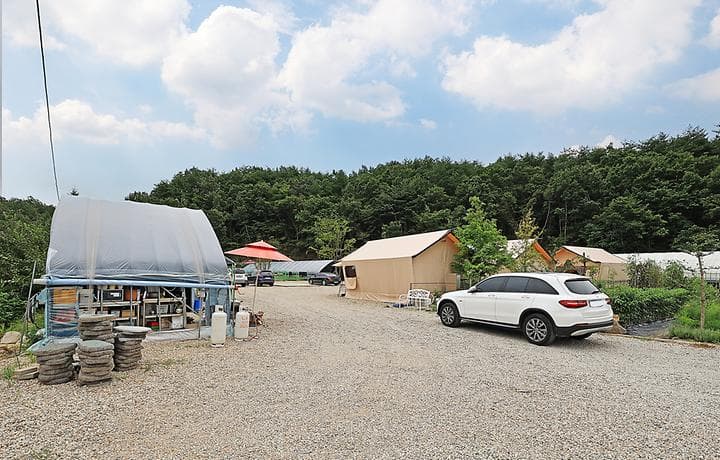 고성 탑 글램핑 농원 사진