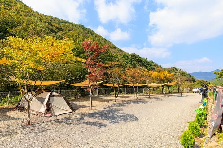 오솔길 오토 캠핑장 사진