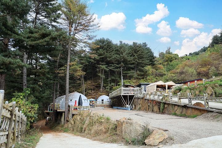 엉클킴스 캠핑장 사진
