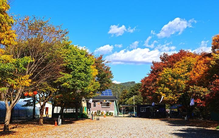 포도밸리 캠핑장 사진