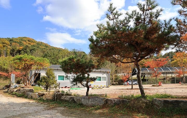 포천그린별캠핑장 사진