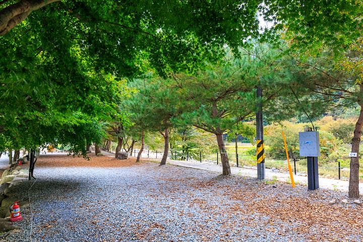 포레스트캐빈앤캠프 사진