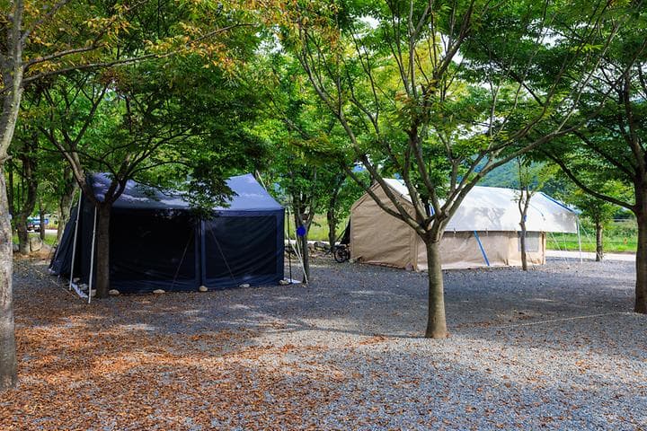 청도 사계절 캠핑장 사진