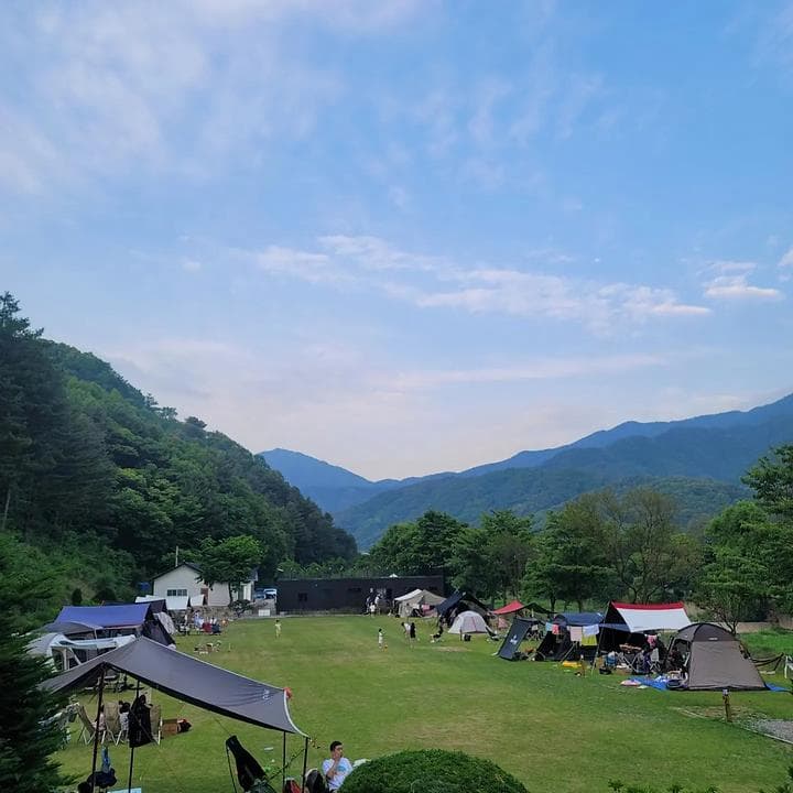 캠프99 사진