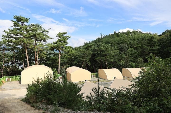 현대야영장 사진