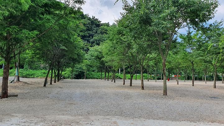금산 자연 오토캠핑장 사진
