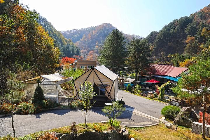테라스527 캠핑장 사진