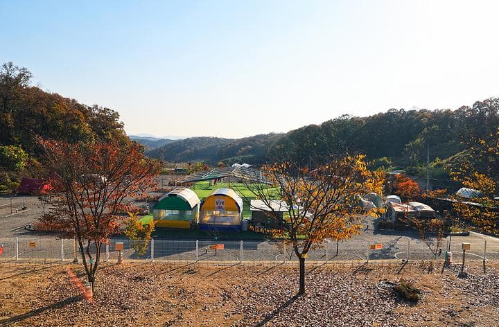 달그린캠프 사진