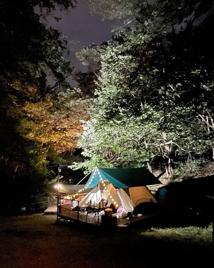 반달곰이 살던 숲 사진