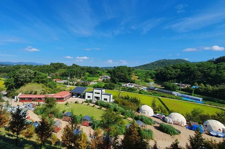 더힐링식물원 야영장 사진