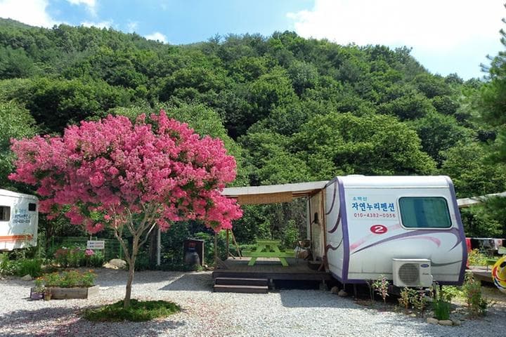 소백산자연누리야영장 사진