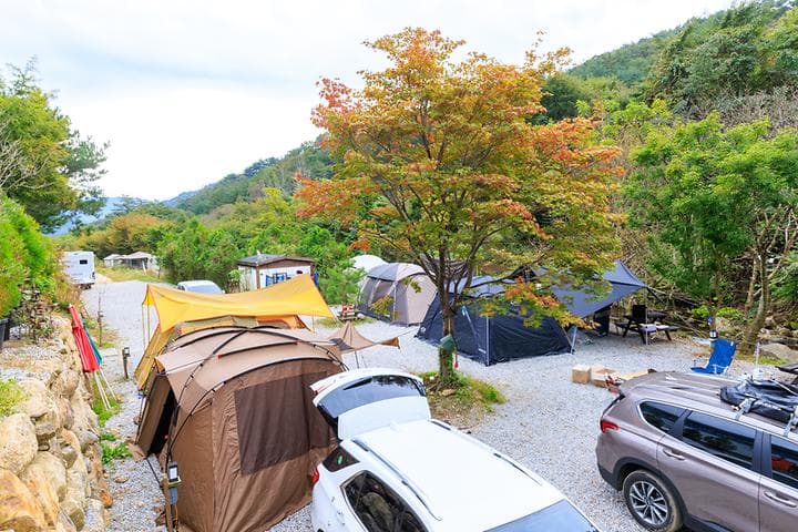 라온밸리캠핑장 사진