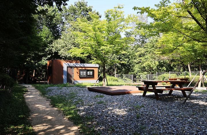 관악산 계곡 캠핑장 사진