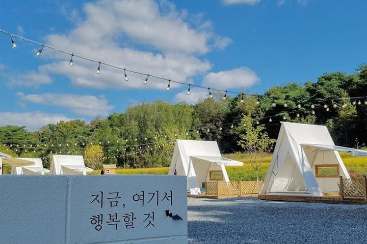 논논캠프 사진