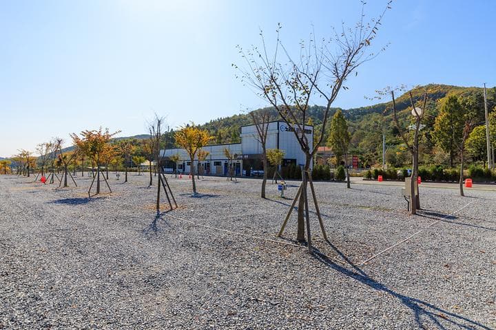 노리터 키즈 캠핑장 사진