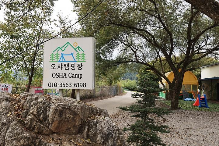오샤 사진