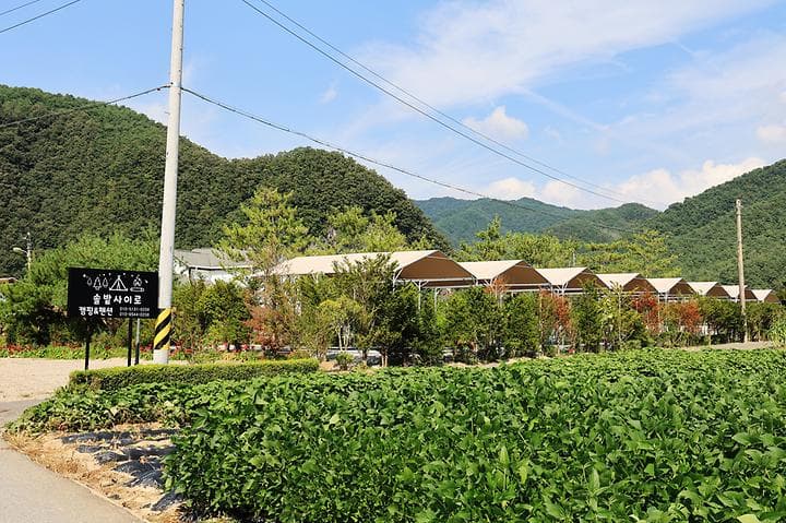 올캠프(ALL camp) 사진