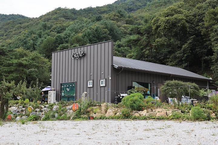 숲 나들이 야영장 사진