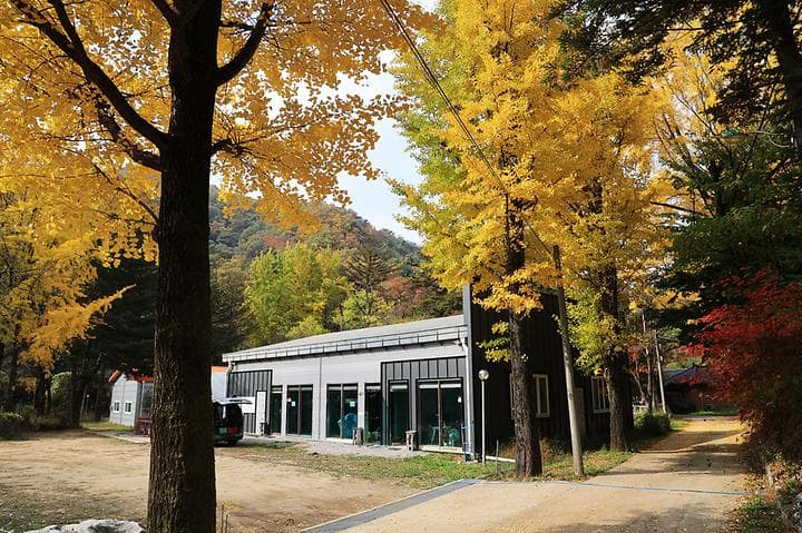 일영Star캠핑장 사진