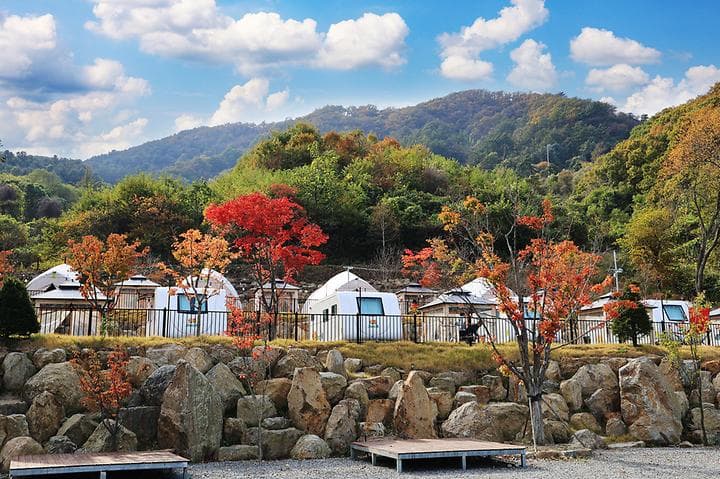 스토리숲(story숲) 사진
