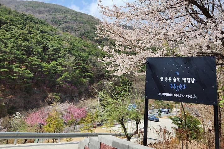 별품은 숲속 캠핑장 사진