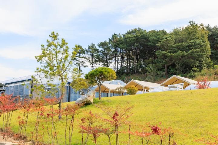 세제골농원 숲속야영장 사진