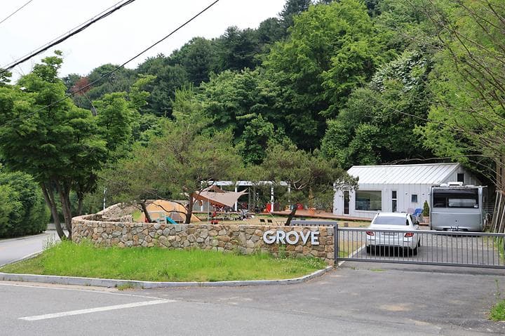 그로브 사진