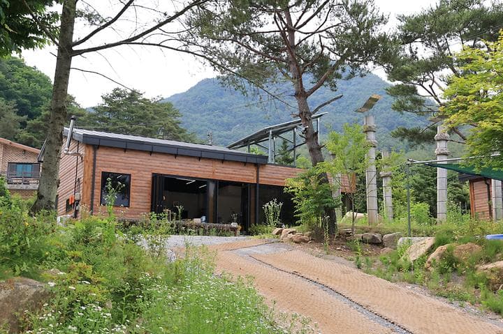 힐링인더 포레스트 사진