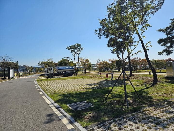 충주 목계솔밭 캠핑장 사진