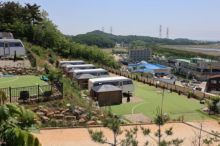 하버드카라반 사진