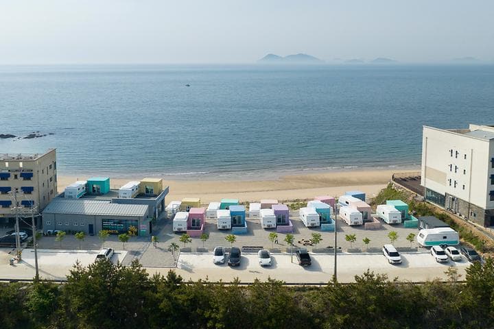 보니타 카라반 사진