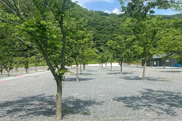 별빛 은하수 캠핑장 사진