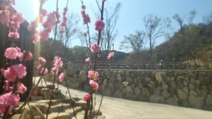 다문188캠핑장 사진