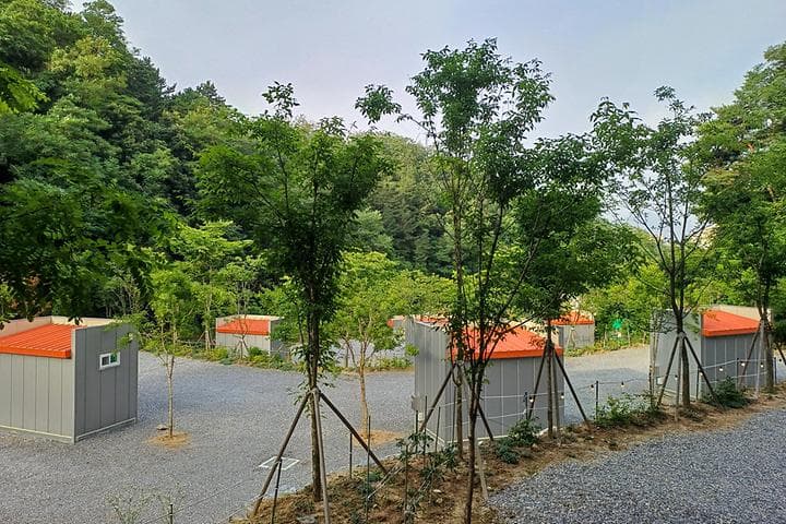 몽상핀 사진