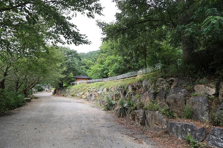 서운산캠핑장 사진