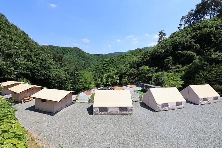 비발디캠핑파크 미루나무점 사진