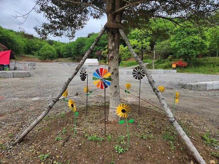 푸르미르 관광농원 사진